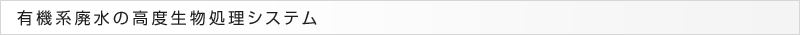 有機系廃水の高度生物処理システム