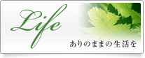 総合不動産開発事業・リゾート開発事業・建設事業